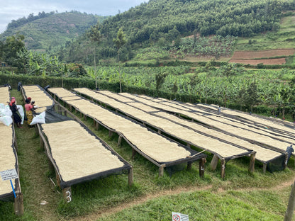 Rwanda Cafè des Mamans - Women's Mill