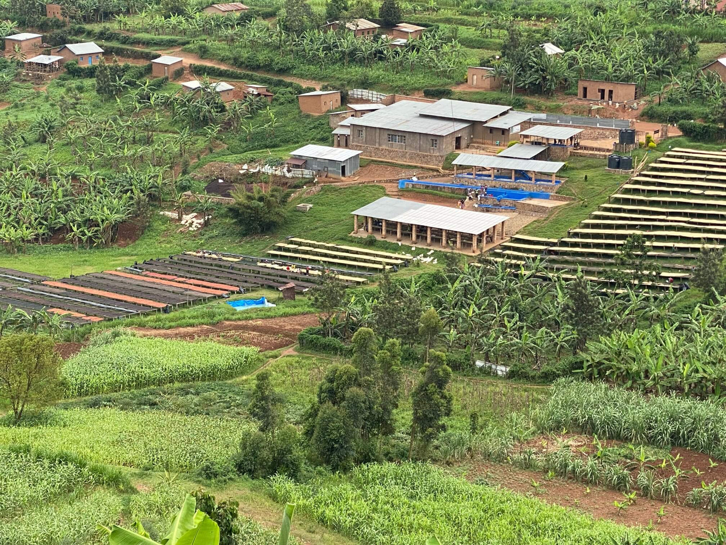 Rwanda Cafè des Mamans - Women's Mill