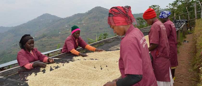 Rwanda Twongere Kawa Coko - Women's Mill